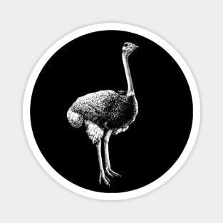 Common Ostrich Animal Portrait Magnet